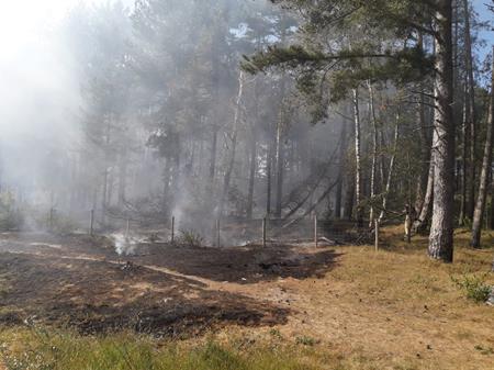 Formby Pinewoods Fire 270520
