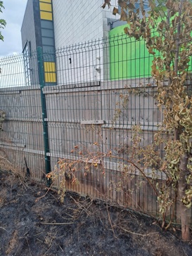 An extinguished grass fire that has reached a school fence.