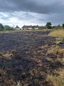 An extinguished grass fire showing scorched black ground with houses nearby.